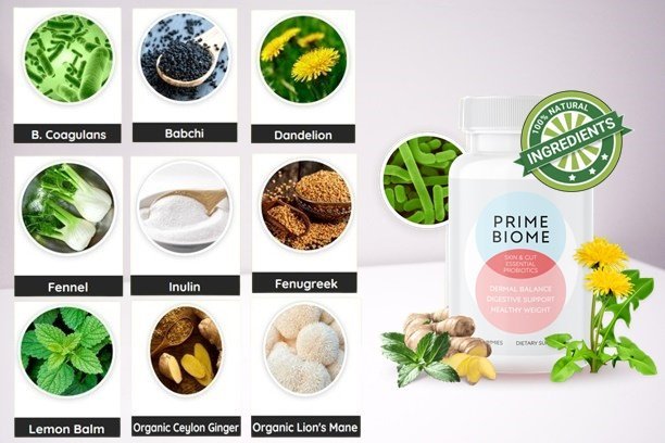 Prime Biome Ingredients